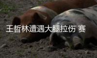 王哲林遭遇大腿拉伤 赛后被搀上救护车去医院