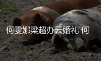 何雯娜梁超办云婚礼 何雯娜老公梁超在婚礼中跳舞