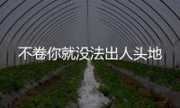 不卷你就没法出人头地