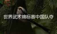世界武术锦标赛中国队夺4金暂列首位