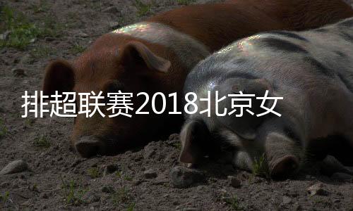 排超联赛2018北京女排从连胜到连败 问题出在哪里？