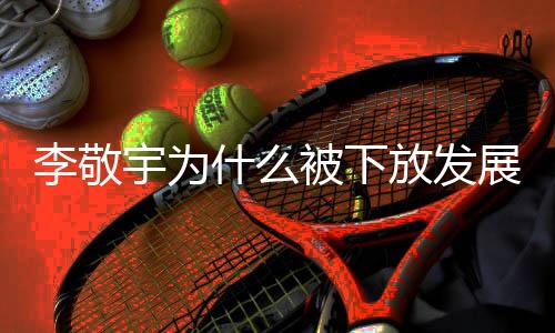 李敬宇为什么被下放发展联盟 山西男篮李敬宇个人资料