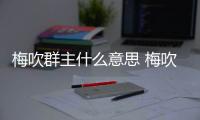 梅吹群主什么意思 梅吹群主梗内涵与拉基蒂奇关系介绍
