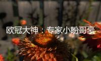欧冠大神：专家小盼哥豪取16连红 琛茹近22中21