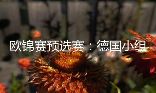 欧锦赛预选赛:德国小组领跑 比利时荷兰大胜对手
