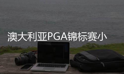澳大利亚PGA锦标赛小堀一磨领先 丁文一66杆T2