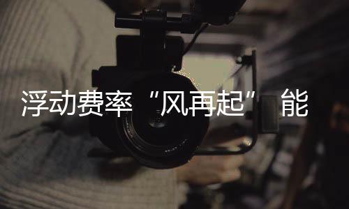 浮动费率“风再起” 能否实现双赢？