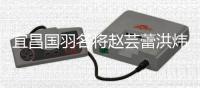 宜昌国羽名将赵芸蕾洪炜领证结婚 六一儿童节变纪念日