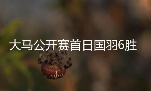 大马公开赛首日国羽6胜2负 石宇奇圣坛晋级16强