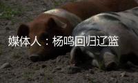 媒体人：杨鸣回归辽篮 是现教练乌戈主动请求