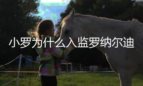 小罗为什么入监罗纳尔迪尼奥怎么进去的 狱中生活曝光