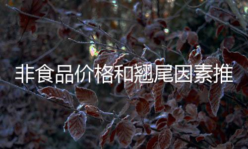 非食品价格和翘尾因素推高CPI 涨幅比上月扩大0.3个百分点