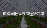 锦织圭激战五盘逆转西里奇 五年三进美网半决赛