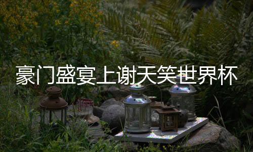 豪门盛宴上谢天笑世界杯挺意大利 现场寂静一片