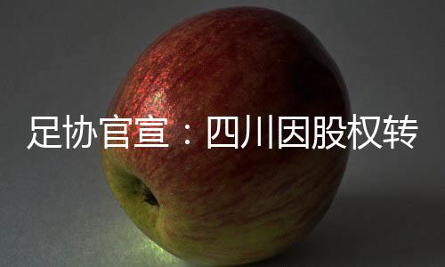 足协官宣：四川因股权转让问题正式放弃中甲开幕式