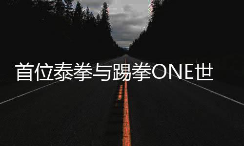 首位泰拳与踢拳ONE世界冠军诞生 斯坦普夺冠之路回顾