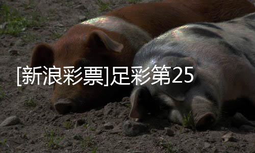 [新浪彩票]足彩第25174期任九：雷恩坐和望赢